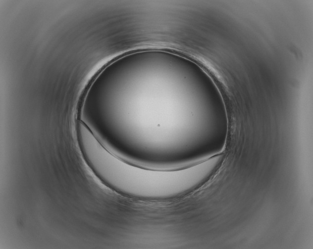 X0000113161468200909181801