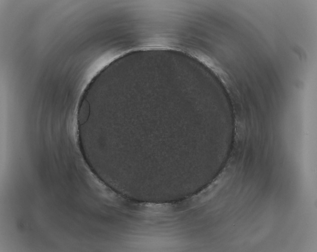 X0000113161469200909181801