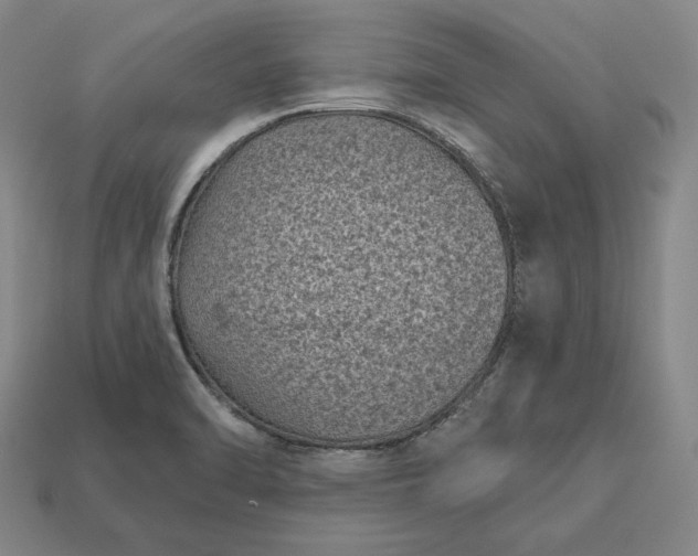 X0000113161470200909181801