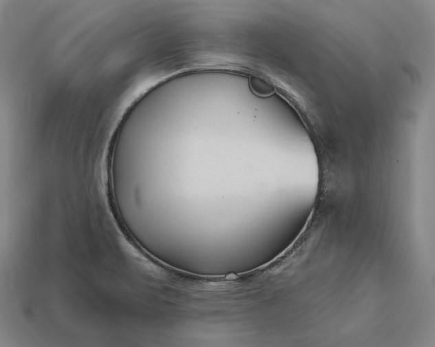 X0000113161471200909181801