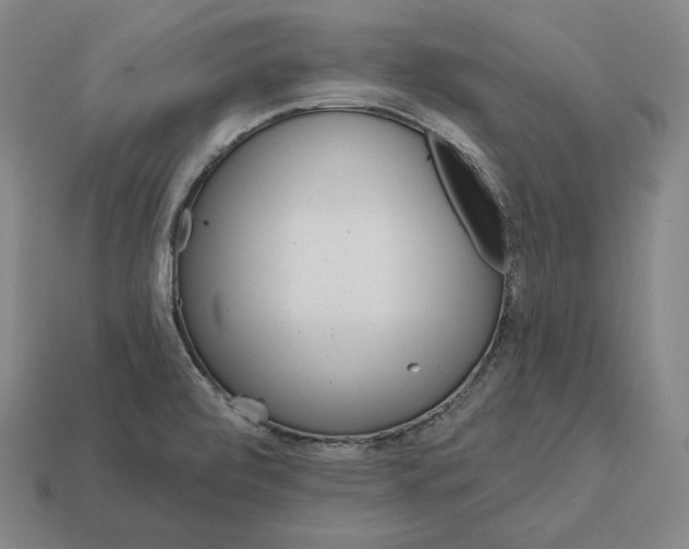 X0000113161472200909181801