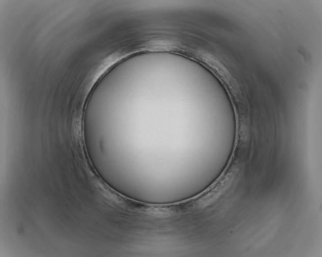 X0000113161473200909181801