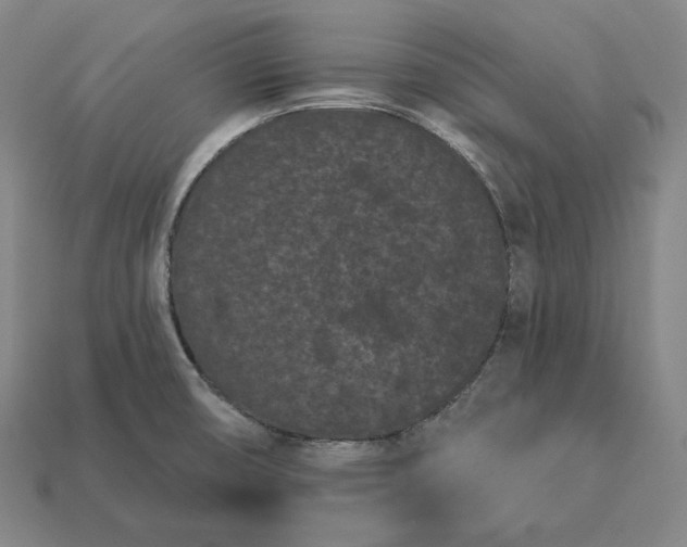 X0000113161474200909181801