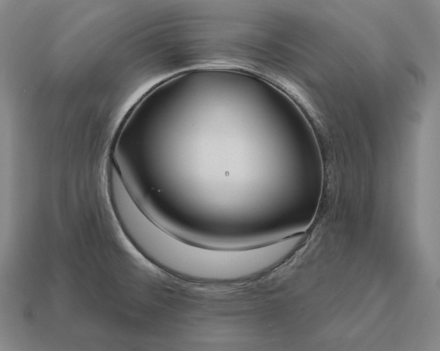 X0000113161476200909181801