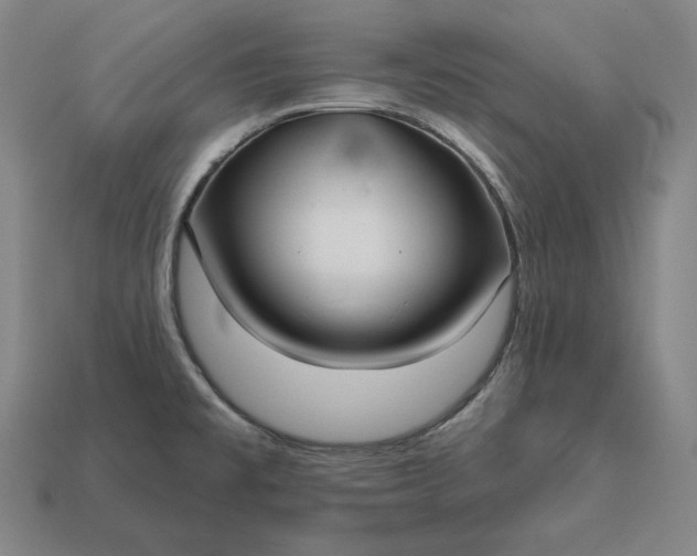 X0000113161477200909181801