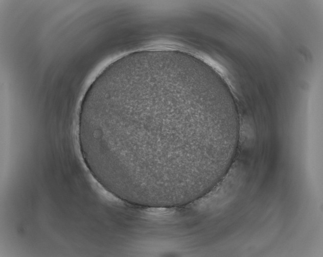 X0000113161478200909181801