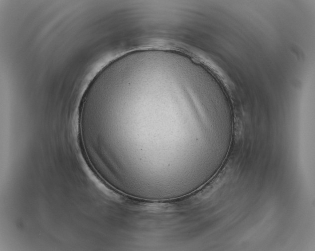 X0000113161479200909181801