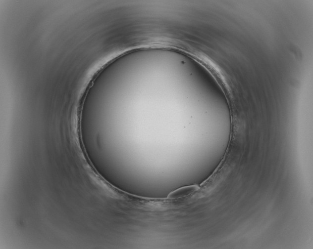 X0000113161480200909181801