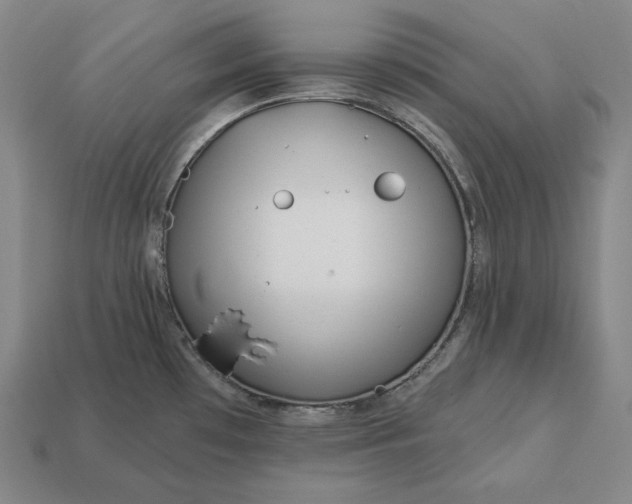 X0000113161481200909181801