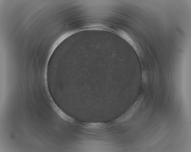 X0000113161482200909181801