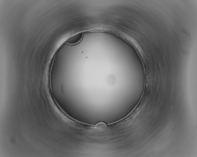 X0000113161483200909181801