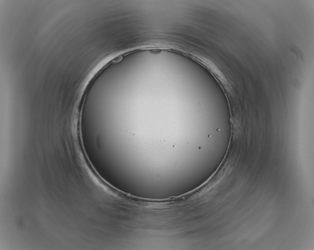 X0000113161484200909181801