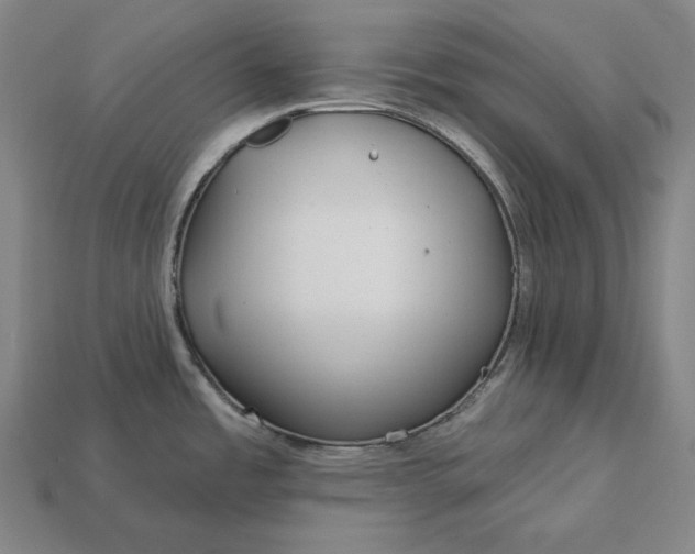 X0000113161485200909181801