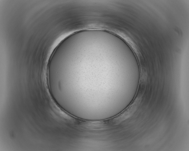 X0000113161486200909181801