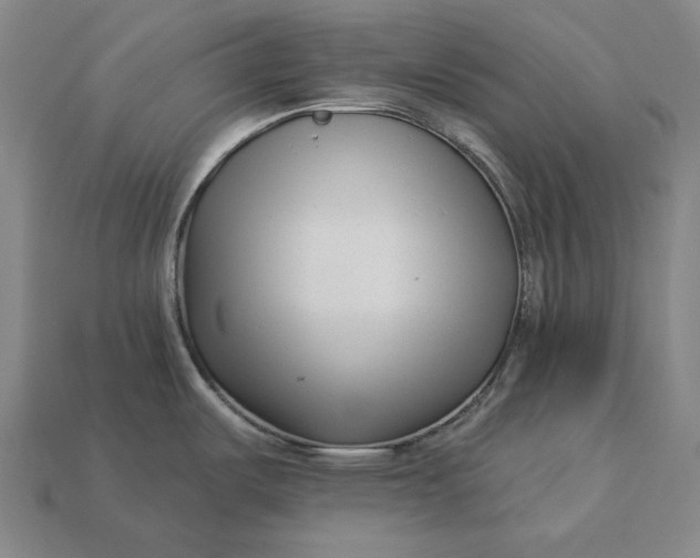 X0000113161487200909181801