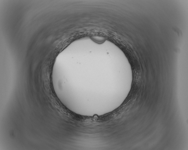 X0000113161489200909181800