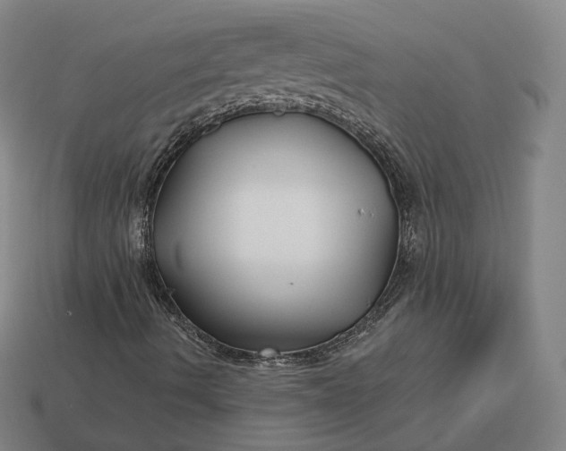 X0000113161490200909181800