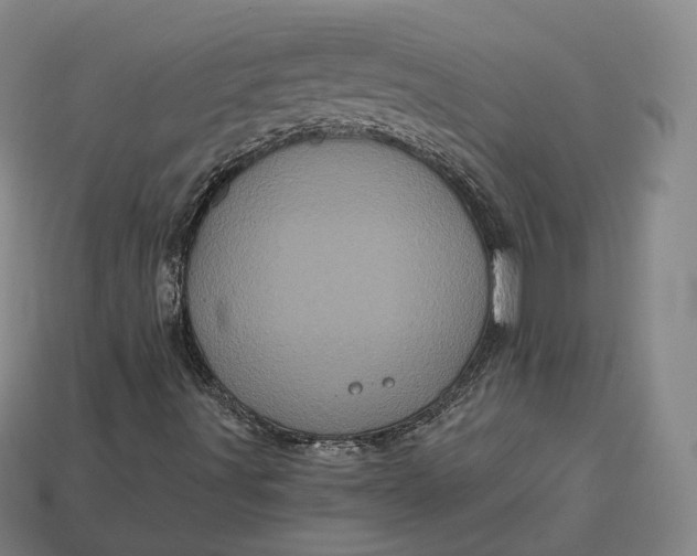 X0000113161491200909181800