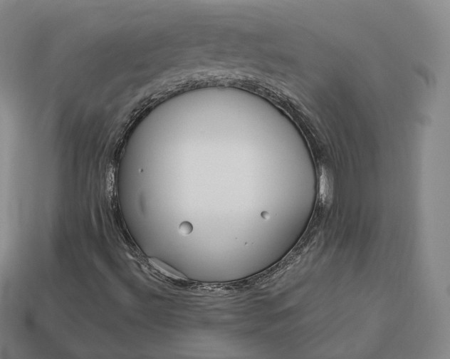 X0000113161492200909181800