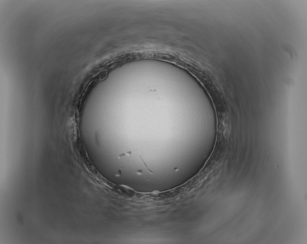 X0000113161493200909181800