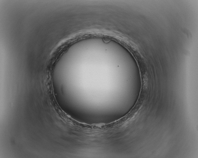 X0000113161494200909181800