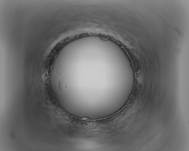 X0000113161495200909181800