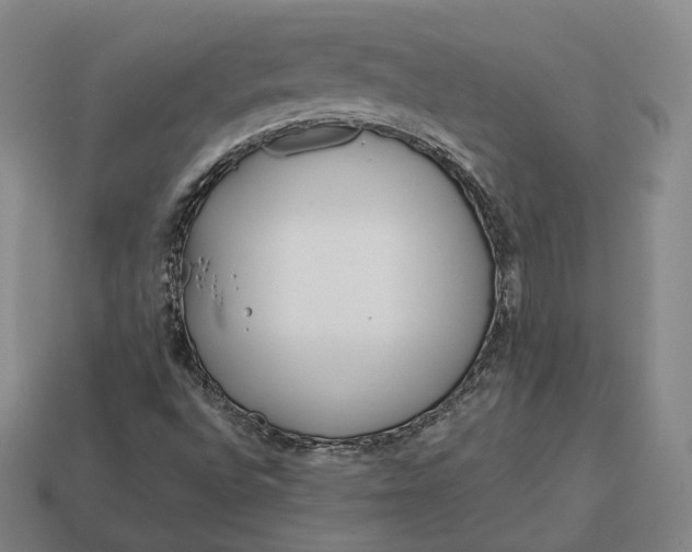 X0000113161496200909181800