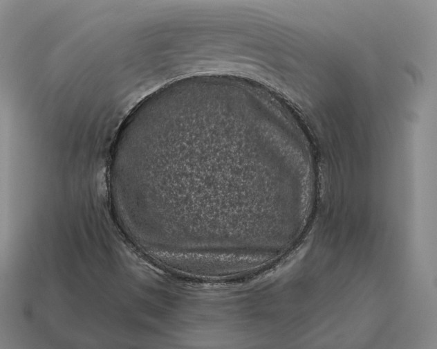 X0000113161497200909181800