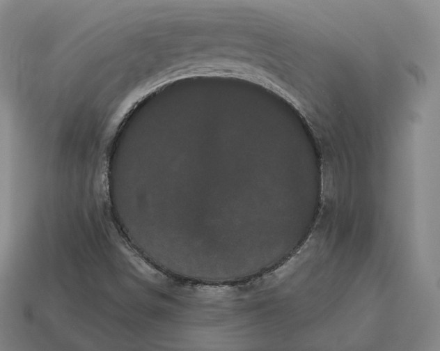 X0000113161498200909181800