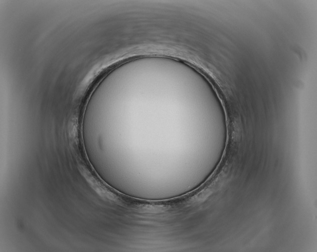 X0000113161499200909181800