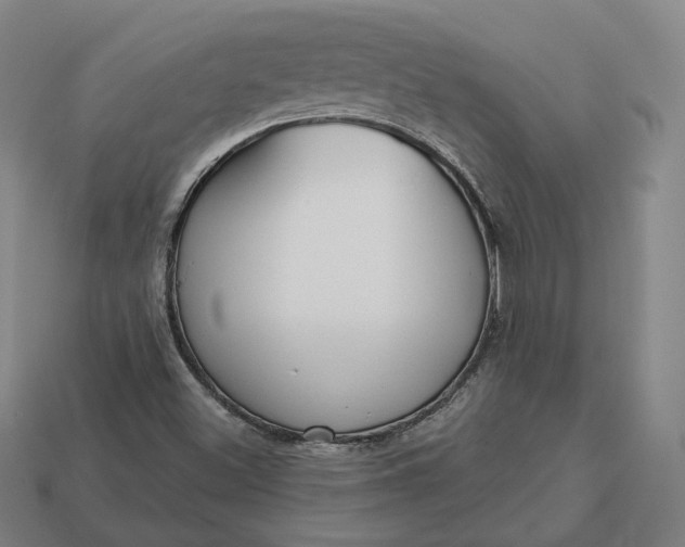 X0000113161500200909181800