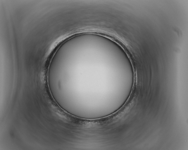 X0000113161501200909181800