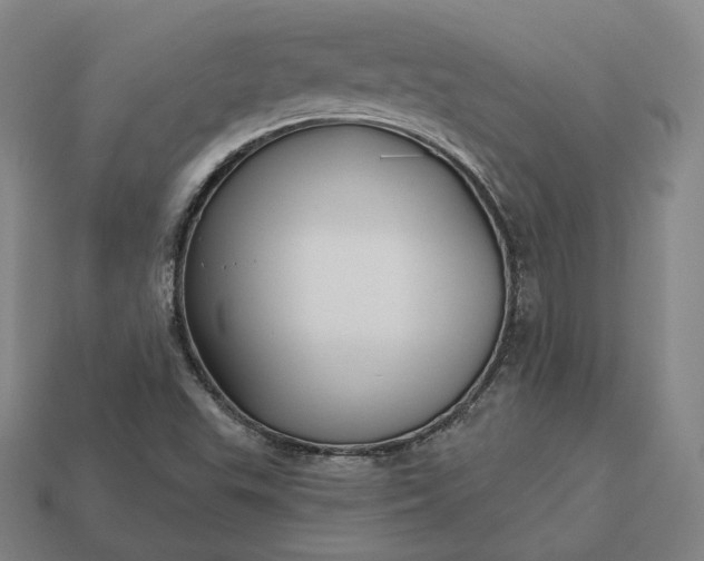 X0000113161503200909181800