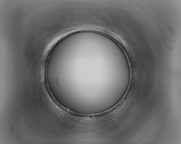 X0000113161504200909181800