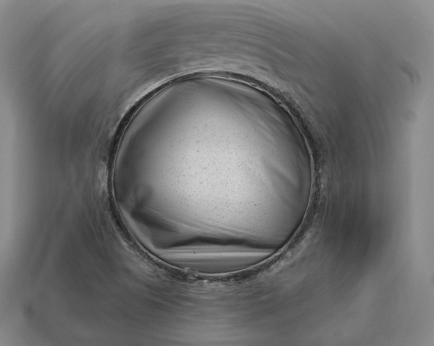 X0000113161505200909181800