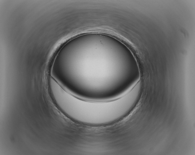 X0000113161506200909181800