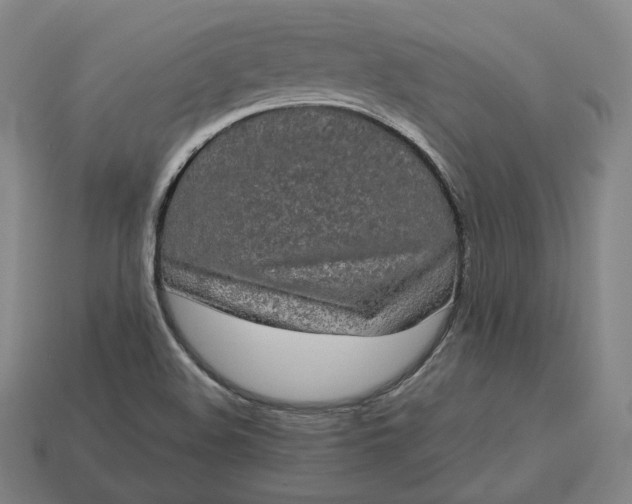 X0000113161508200909181800