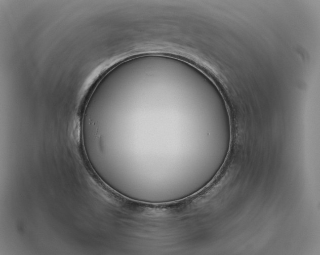 X0000113161509200909181800