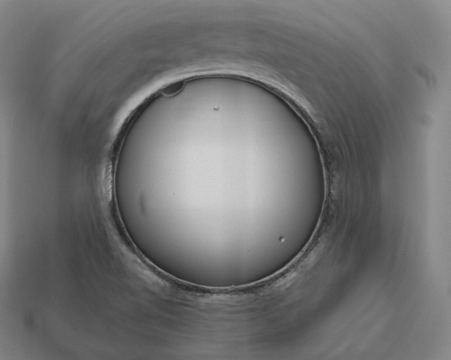 X0000113161510200909181800