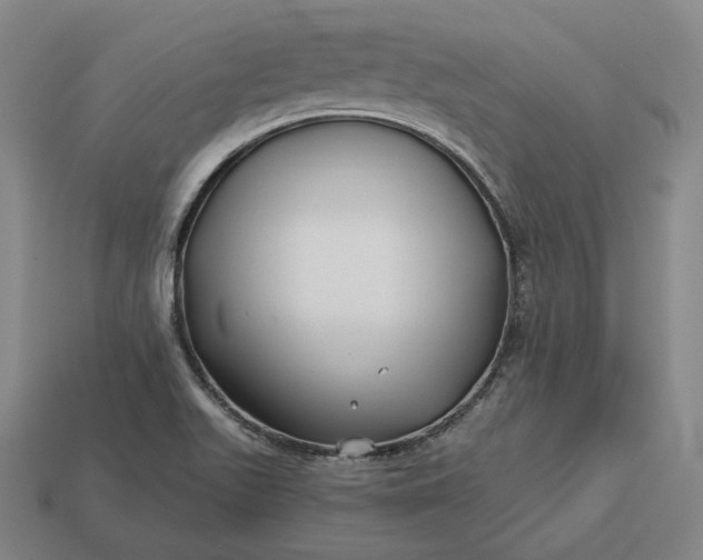 X0000113161511200909181800