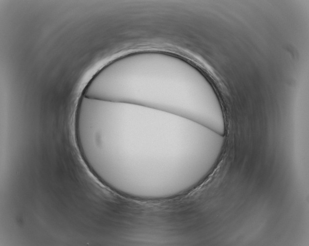 X0000113161512200909181800