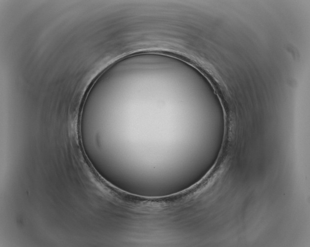 X0000113161513200909181800