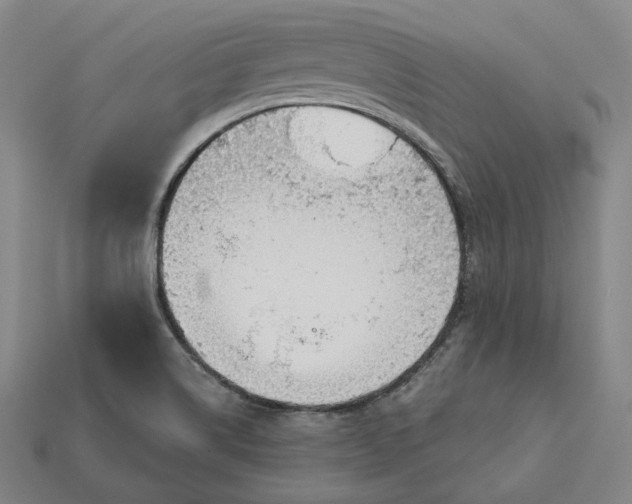 X0000113161514200909181800