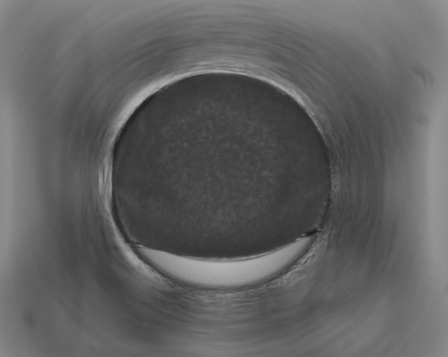 X0000113161515200909181800