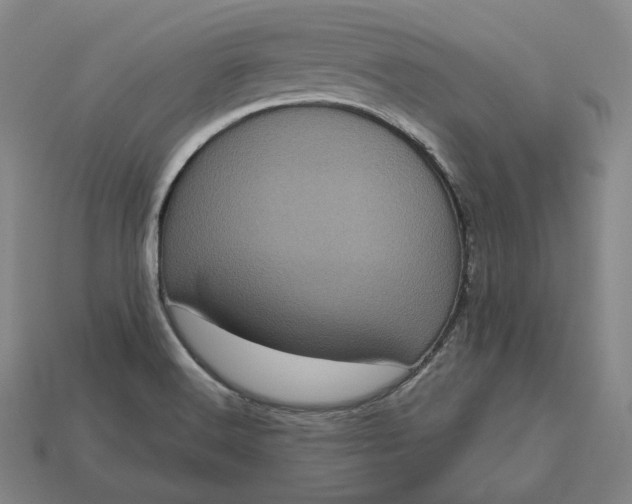 X0000113161516200909181800