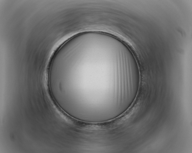 X0000113161517200909181800