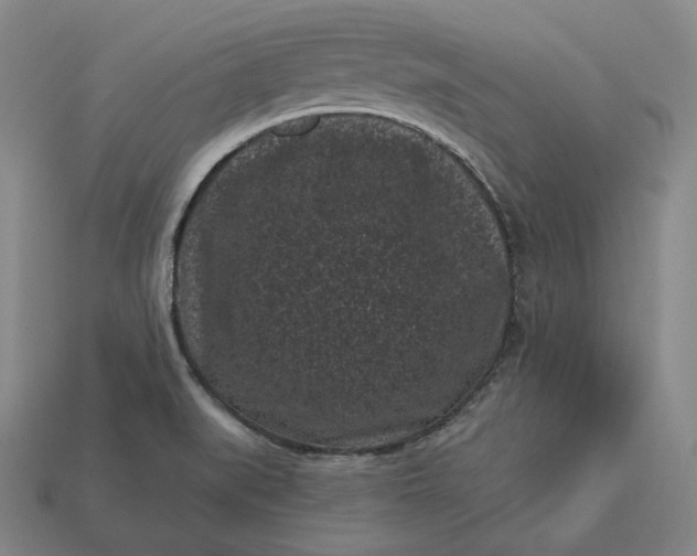 X0000113161519200909181800