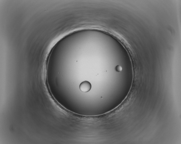 X0000113161520200909181800