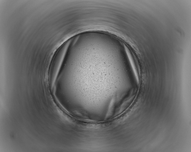 X0000113161521200909181800