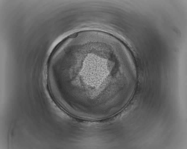 X0000113161522200909181800